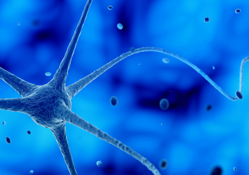 Powstało Translacyjne Centrum Chorób Mózgu Uczelni Fahrenheita